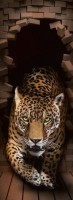 Леопард 3D Ф176