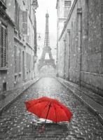 Дождь в Париже Ф 160