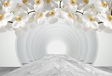 Туннель с белыми орхидеями Р-106