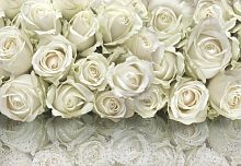 Белые розы на стекле