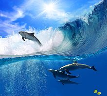 Дельфины в волнах В-066