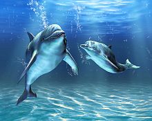 Два дельфина D-064