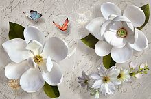 Белые цветы 