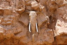 Слон в скале Р-005
