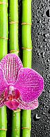 Бамбук и орхидея С-286