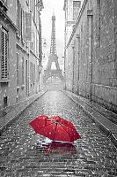 Дождь в Париже 
