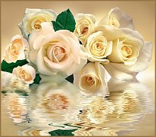 Белые розы А 083