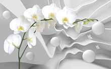 Белая орхидея на объемном фоне