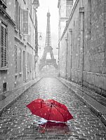 Парижский дождь А 165