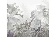 Тропические деревья в тумане Z-376