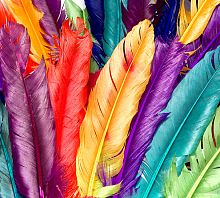 Разноцветные перья Т-200