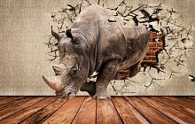 Носорог сквозь стену 