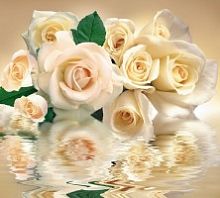 Белые розы Ф 020