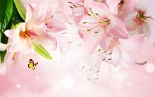Розовые лилии с бабочками
