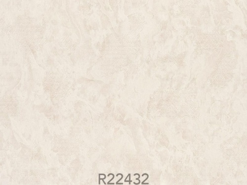 R22432