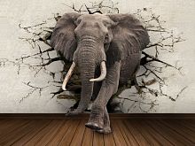 Слон сквозь стену 