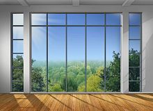 Окно с видом на зеленый лес